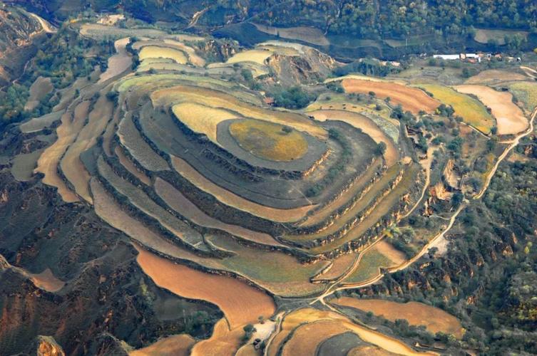 世界上最大的黄土堆积区黄土高原
