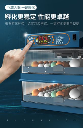 孵化机多少温度放鸡蛋