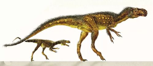 恐龙的祖先是什么