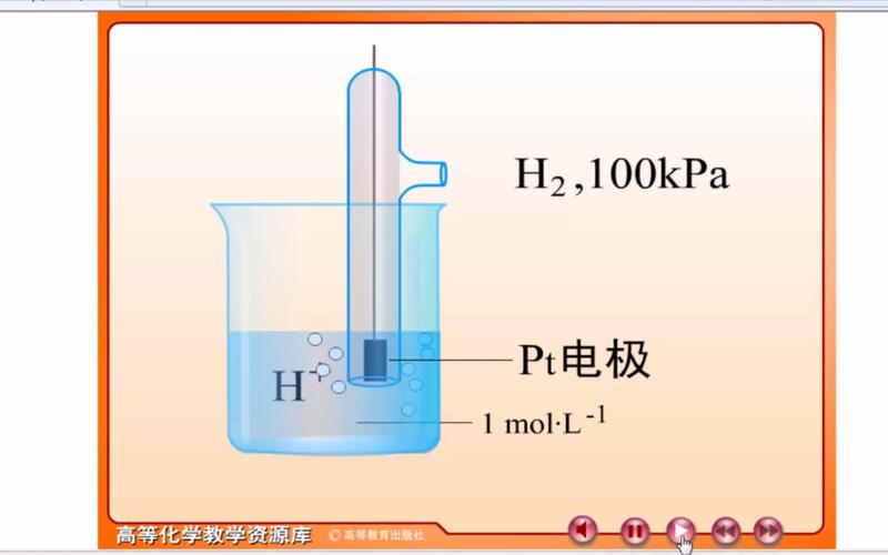 标准氢电极